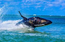 Seabreacher Ride in Cancun