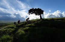 Big Island Mountain Biking on Anna Ranch