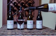 Khor Virap, Areni Winery, Noravank + Wild Goat Watching - private tour