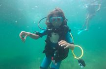 Diving initiation (Initiation)