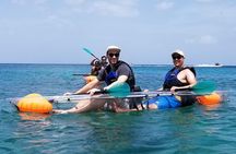 Folkestone Coral Reef Clear Kayak Tour