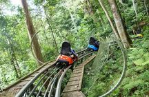 Private tour Nha Trang - Dalat excursion (starting at Nha Trang)