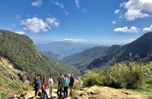 Full Day Car Tour Excursion Dalat ( Minimum 4 guest)