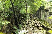 1 day special Tour: Angkor Wat,Bayon,Ta Prohm, Bantey srei and Beng Mealea