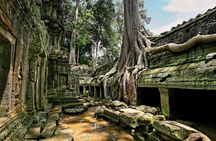 1 day special Tour: Angkor Wat,Bayon,Ta Prohm, Bantey srei and Beng Mealea