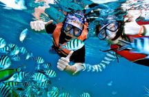 Snorkeling Experience At Blue Lagoon Bali With Lunch And Transfers