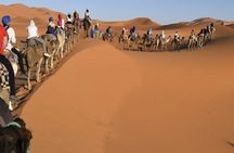 3-day Private Desert Tour From Marrakech To Fes