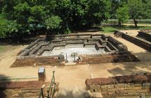 Polonnaruwa Day Tour from Kandy