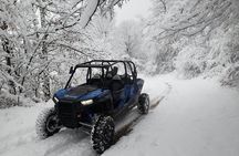 Private Buggy Experience All Seasons in Pamporovo