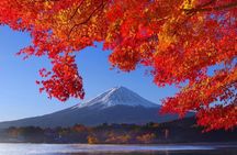 View of Mt. Fuji is good! Sushi making experience class