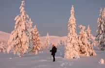 Levi: Snowshoeing adventure in the National Park