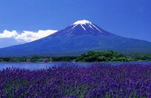 View of Mt. Fuji is good! Sushi making experience class