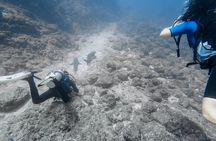 Refresher Scuba Diving Course Costa Rica
