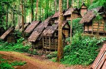 Private tour with lunch: Jakarta to Baduy tribal