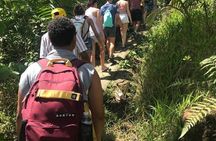 El Yunque Rainforest Guided Day Tour from San Juan