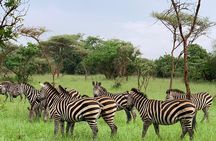 2 days trip_Akagera National Park (Wildlife Safari) 