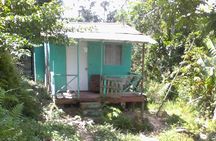Negril Country Side Tour & Rick's Cafe 