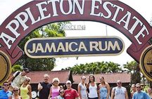 Private Appleton Estate Rum Tour & Tasting from Runaway Bay