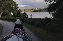 Killarney National Park Tour