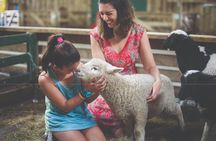 Agrodome Farm Experience including Farm Show and Farm Tour - Rotorua