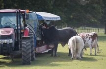 Agrodome Farm Experience including Farm Show and Farm Tour - Rotorua