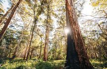 Margaret River 3 Day Escape