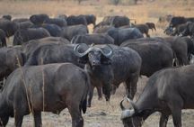 5 Days Travelling Southern Tanzania 