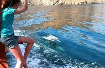 Musandam Khasab Day Trip & Dhow Cruise from Ras al Khaimah