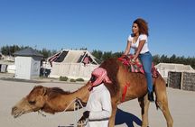 Half Day Desert Tour