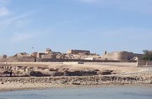 Full Day With Traditional Bahraini Lunch