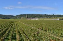 Small-Group Full-Day Tour of Côte de Nuits, Côte de Beaune Vineyards and Beaune Historical District