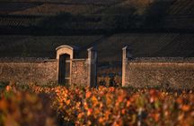 Small-Group Full-Day Tour of Côte de Nuits, Côte de Beaune Vineyards and Beaune Historical District
