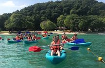 Angthong National Marine Park (42 islands) with Kayaking by Big Boat