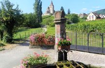The Emblematic: visit of villages, Haut-Koenigsbourg, Wine tasting