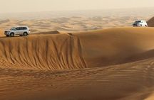 Amazing Abu Dhabi Evening Safari