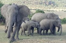 Adventurous 4 Days Maasai Mara - Lake Nakuru Safari
