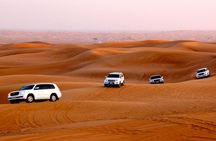Red Dune Desert Safari with ATV Quad Bike, Live Show, Camel Ride & Dinner 