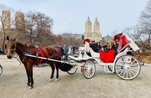 45 Minute VIP Central Park Carriage Ride 