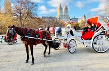 45 Minute VIP Central Park Carriage Ride 