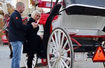 45 Minute VIP Central Park Carriage Ride 