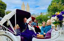 45 Minute VIP Central Park Carriage Ride 