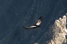 Colca Canyon Tour 2 Days
