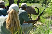 4 Days 3 Nights Victoria Falls Camping Adventure