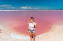 Explore the Nature: Las Coloradas & Rio Lagartos from Playa del Carmen