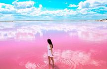 Natural Pink Lake Coloradas Transportation Included from Tulum