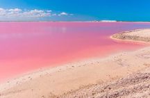 Las Coloradas & Rio Lagartos, Beautiful Eco Adventure from Tulum City