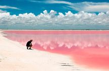 Las Coloradas Tour! Boat Ride, Lunch & Rio Lagartos from Cancun