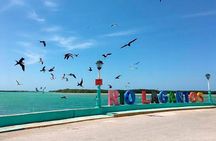 Wonderful Tour Las Coloradas & Buffete only from Cancun