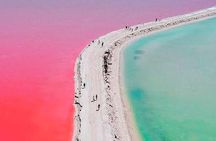 Natural Pink Lake Tour Las Coloradas only from Playa del Carmen