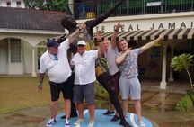 Montego Bay Scenic Tour